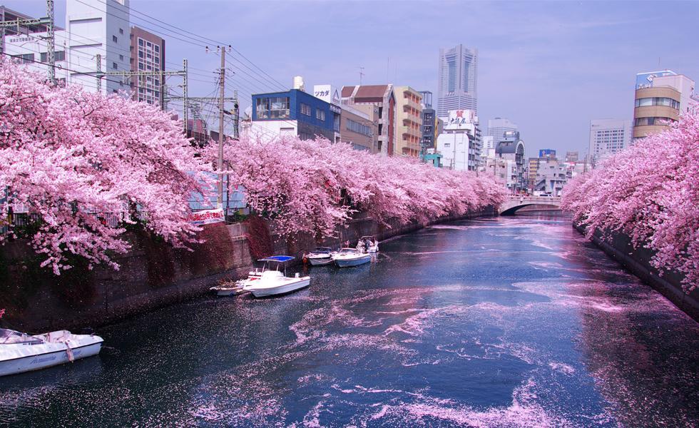 Junfukuya Apartment Осака Екстериор снимка
